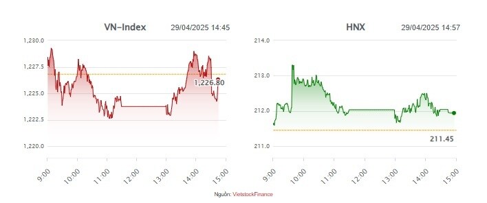 Nhịp đập Thị trường 29/04: Nhóm vận tải biển bứt phá