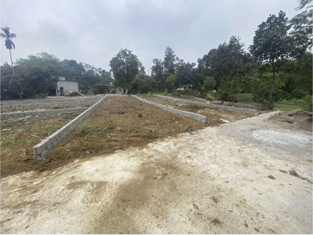 Vàng biến động mạnh, nhà đầu tư “ôm tiền” về tỉnh mua đất nền chờ tăng giá