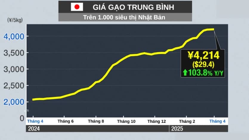 Du khách Nhật gom gạo tại Hàn Quốc vì giá trong nước tăng cao