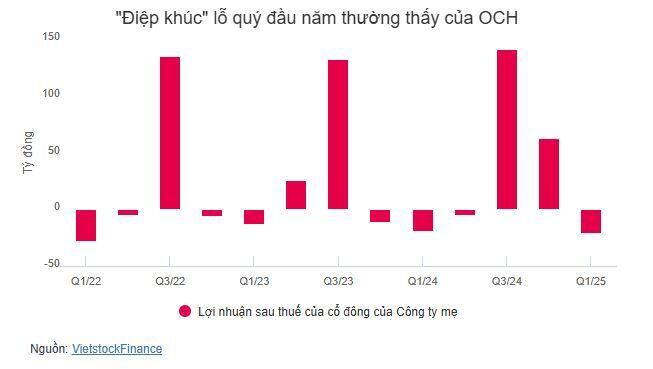 OCH lỗ lũy kế vượt 500 tỷ, chuyển mảng FMCG sang sở hữu gián tiếp