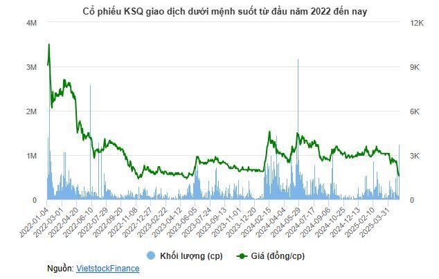 KSQ tăng trần sau 6 phiên giảm sàn, giá vẫn chìm sâu dưới đáy