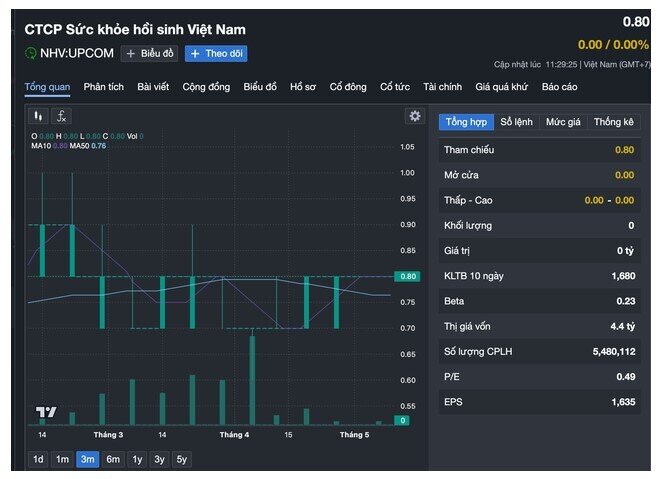 Một công ty ứng gần 96% tài sản cho tổng giám đốc đi đầu tư tài chính
