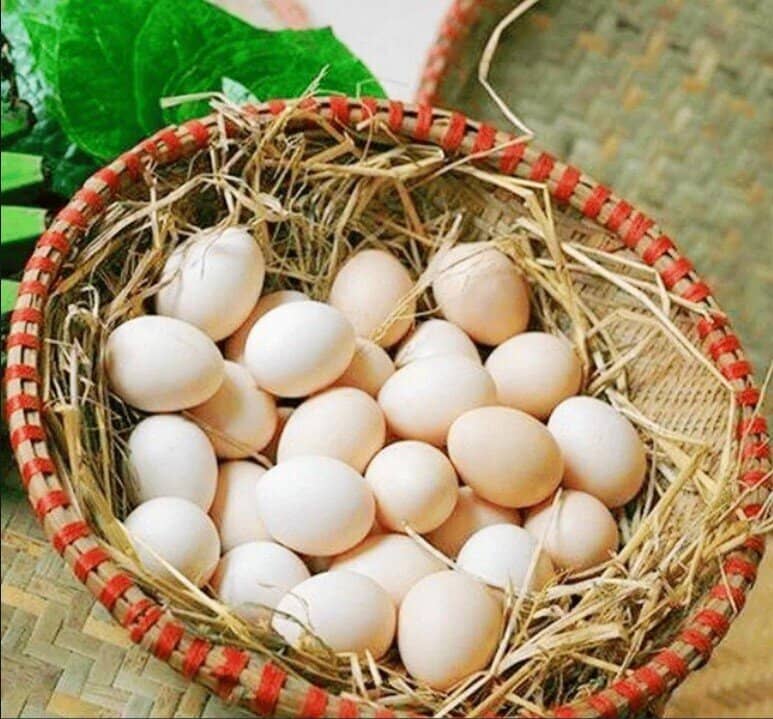 Thực hư thông tin trứng gà "lạ"