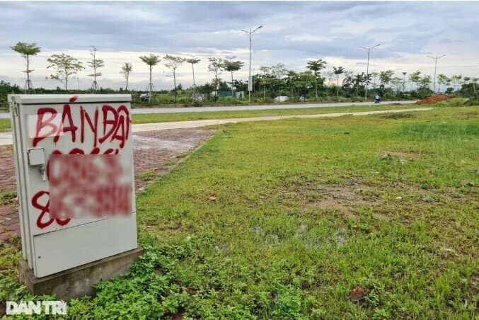 Đấu giá đất huyện Mỹ Đức, Phúc Thọ ở Hà Nội: Cao nhất gần 53 triệu đồng/m2