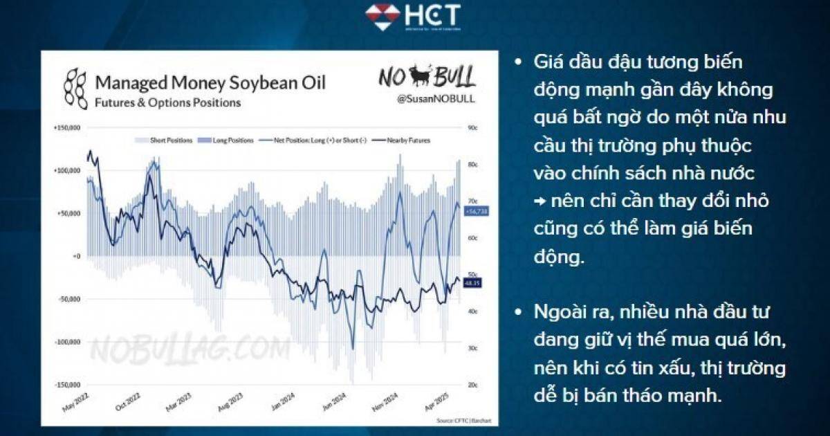 Dầu đậu tương biến động mạnh – Chuyên gia giải mã nguyên nhân [20/05/2025]