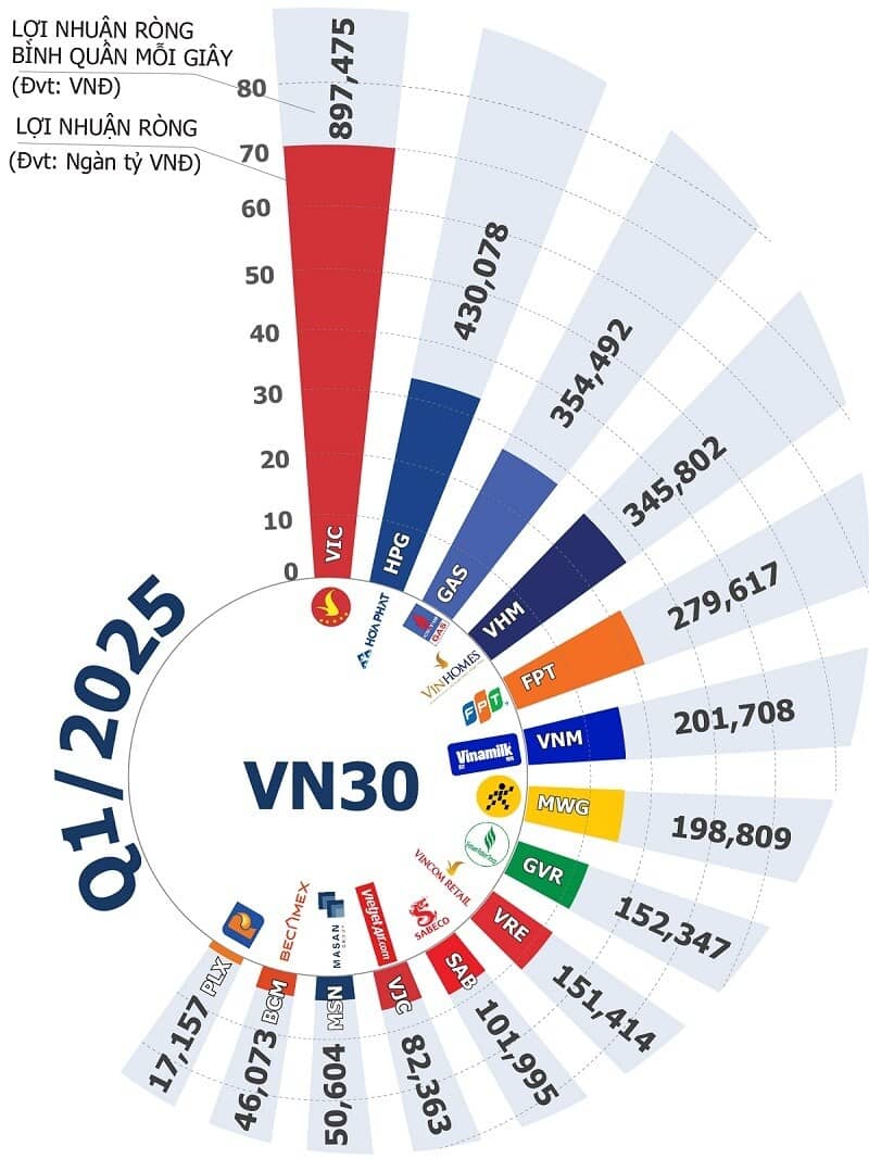 Cuộc đua lợi nhuận VN30 quý 1/2025: VIC, HPG và GAS dẫn đầu