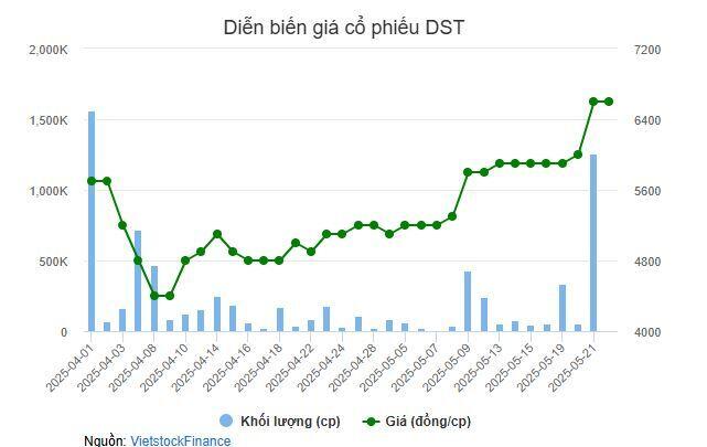 Không đạt vùng giá mục tiêu, Smart Invest chỉ mua 22% lượng cổ phần DST đăng ký