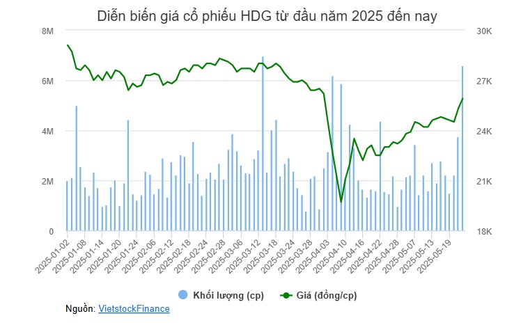 Cha con ông Nguyễn Trọng Thông muốn gom hơn 7 triệu cp HDG