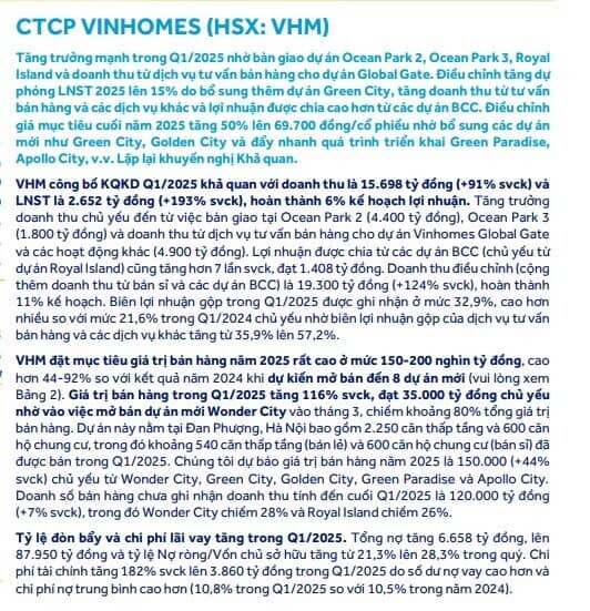 ACBS dự đoán VHM lãi ròng hơn 35.000 tỷ đồng, 8 dự án mới dự kiến mở bán trong năm 2025