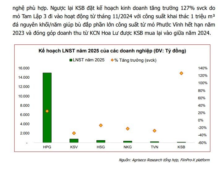 Kế hoạch kinh doanh hé lộ sóng tăng 2025: BĐS, ngân hàng, bán lẻ vào ‘vùng sáng’
