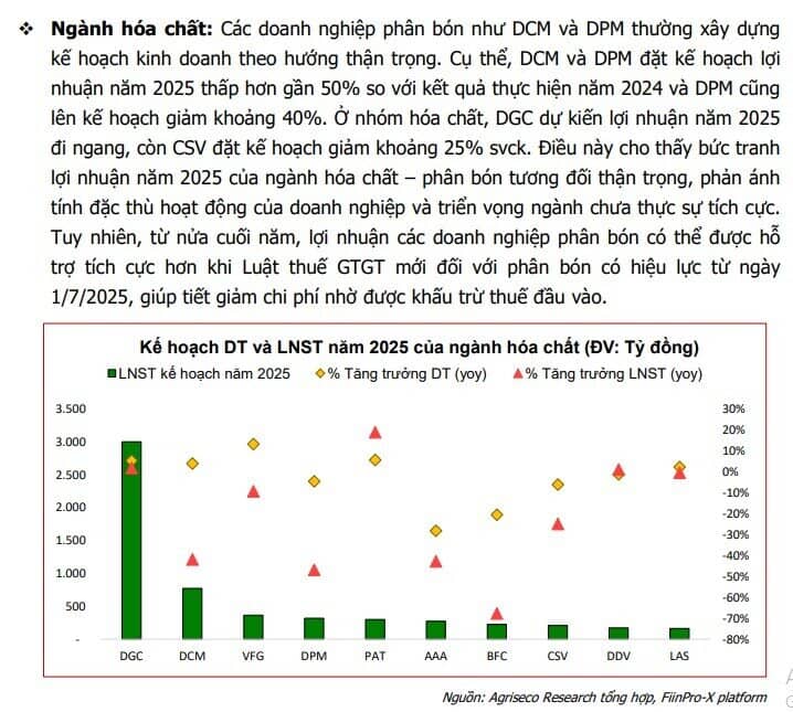 Kế hoạch kinh doanh hé lộ sóng tăng 2025: BĐS, ngân hàng, bán lẻ vào ‘vùng sáng’