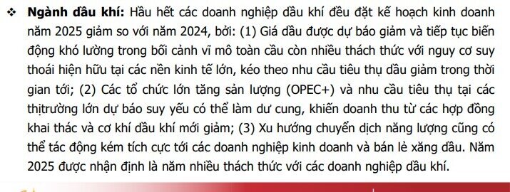 Kế hoạch kinh doanh hé lộ sóng tăng 2025: BĐS, ngân hàng, bán lẻ vào ‘vùng sáng’