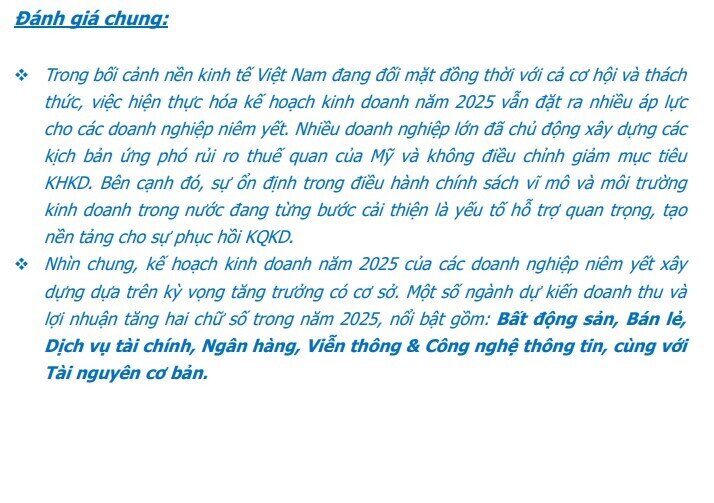 Kế hoạch kinh doanh hé lộ sóng tăng 2025: BĐS, ngân hàng, bán lẻ vào ‘vùng sáng’