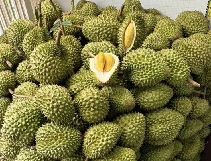 Sầu riêng Việt Nam bất ngờ nhận tin vui lớn từ Trung Quốc