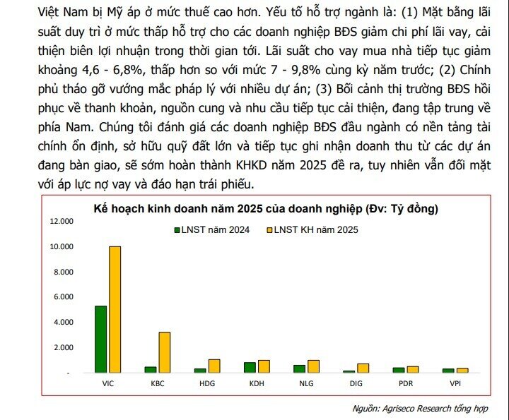 Kế hoạch kinh doanh hé lộ sóng tăng 2025: BĐS, ngân hàng, bán lẻ vào ‘vùng sáng’