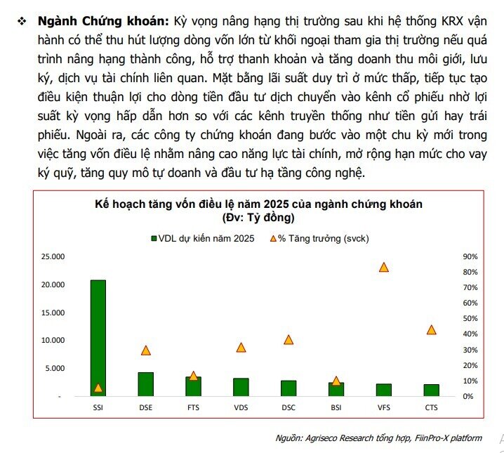 Kế hoạch kinh doanh hé lộ sóng tăng 2025: BĐS, ngân hàng, bán lẻ vào ‘vùng sáng’