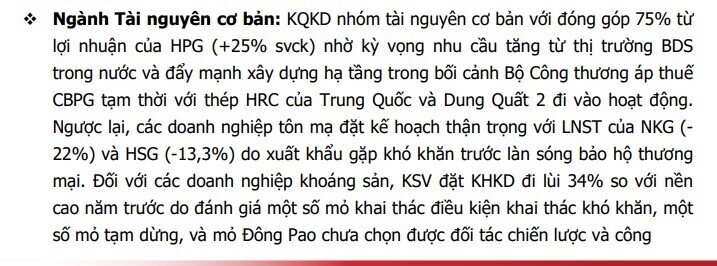 Kế hoạch kinh doanh hé lộ sóng tăng 2025: BĐS, ngân hàng, bán lẻ vào ‘vùng sáng’