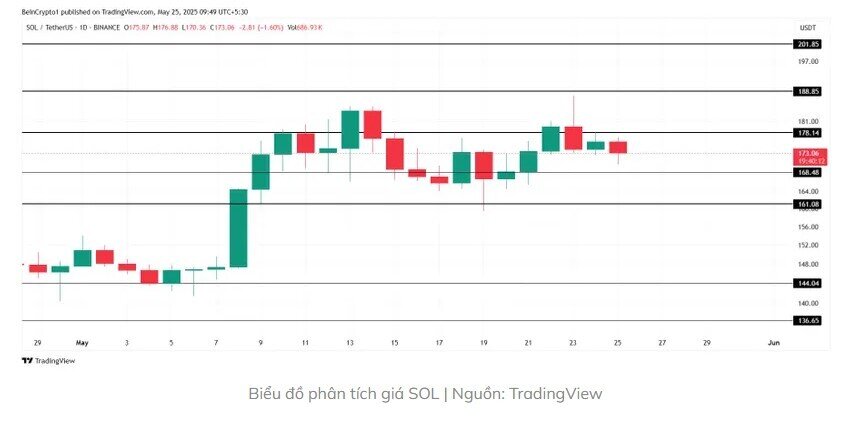 Nhà đầu tư ‘gom’ 381 triệu USD SOL