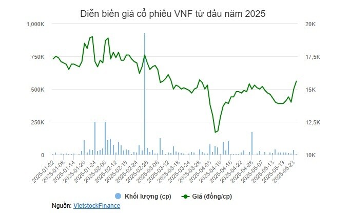Vinafreight sắp chi gần 48 tỷ trả cổ tức, Transimex nhận phần lớn