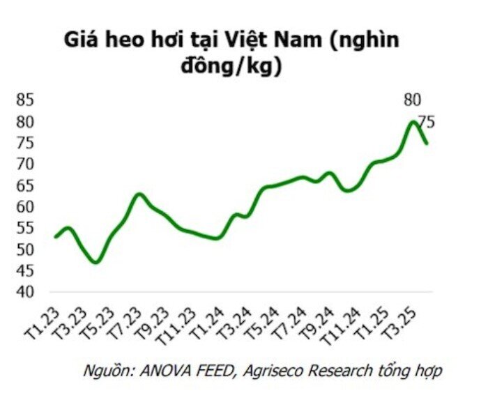 Cổ phiếu nào sẽ hưởng lợi khi giá hàng hóa thay đổi?