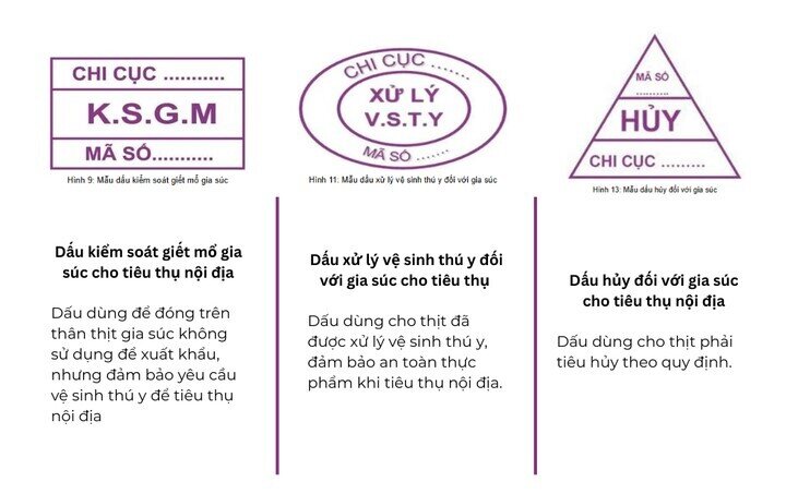 Vụ C.P. bị tố bán heo bệnh: Truy tìm cán bộ thú y đóng dấu kiểm dịch hình chữ nhật