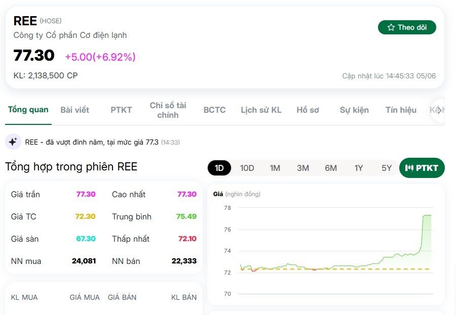 Cổ phiếu REE bất ngờ tăng kịch trần sau một thông tin quan trọng, vốn hóa lập kỷ lục