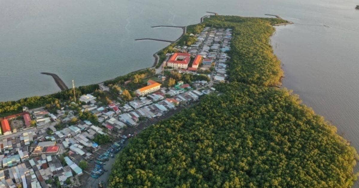 Cần Giờ sẽ là địa phương kiểu mẫu của đô thị xanh