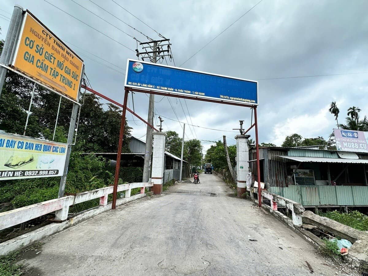 Dư luận "dậy sóng" vì ảnh thịt heo bất thường ở lò mổ C.P