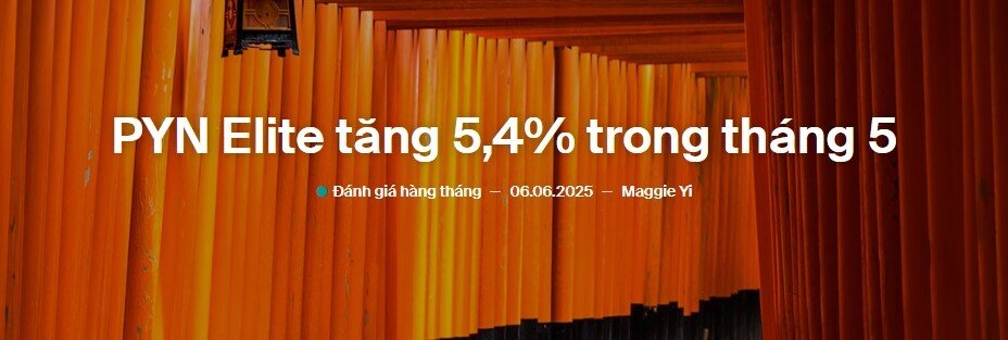 Pyn Elite Fund hé lộ lý do chi 700 tỷ mua thêm hàng chục triệu cổ phiếu MBB