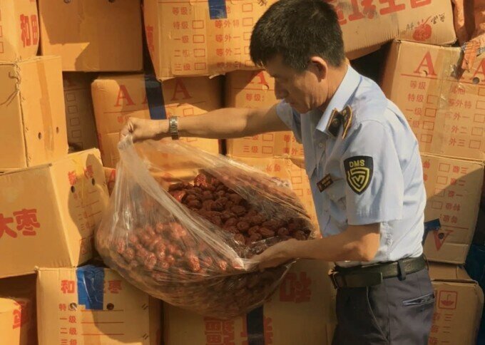 Hà Nội tạm giữ hơn 4 tấn táo đỏ nhập lậu