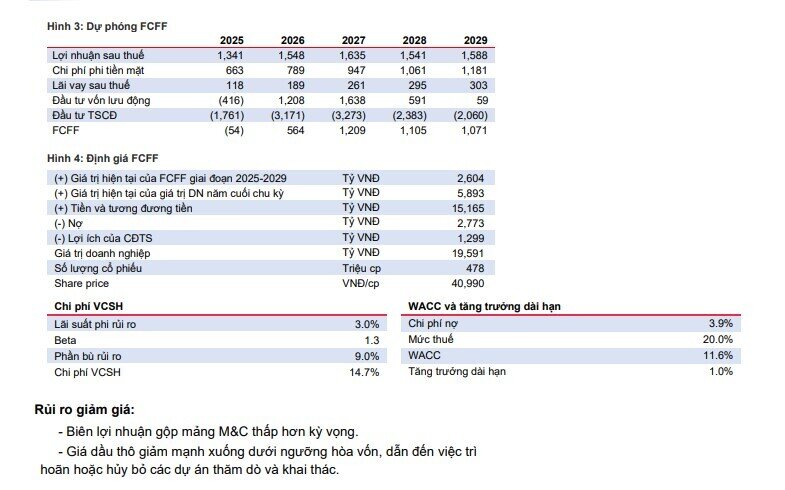 Lợi nhuận 'đại gia' dầu khí được dự báo tăng trưởng 33% trong năm 2025
