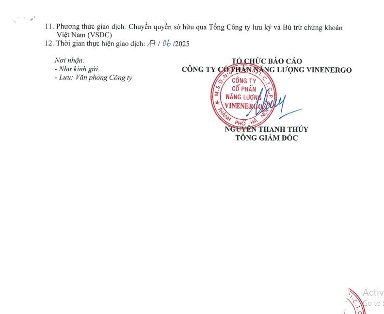 Tỷ phú Phạm Nhật Vượng góp xong 70 triệu cổ phiếu vào VinEnergo, muốn góp tiếp gần 88 triệu cổ phiếu vào VinSpeed