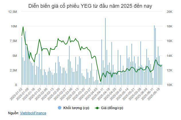 PYN Elite mua hơn 1.5 triệu cp YEG trong phiên có thanh khoản cao nhất từ đầu năm