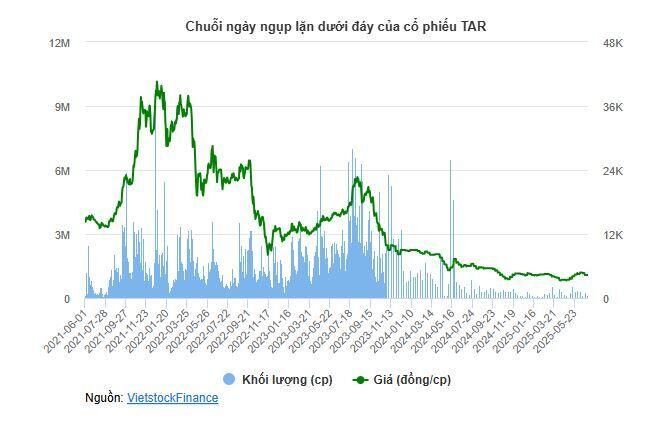 Trung An kỳ vọng gỡ hạn chế giao dịch cổ phiếu trong 2025, chờ xử lý vướng mắc kiểm toán