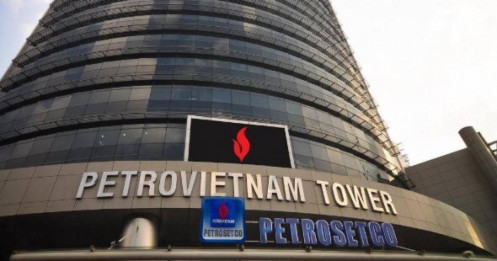 Liệu PET có được như MSN, DGW, MWG?