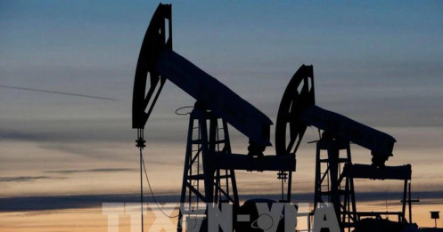 Giá dầu giảm do lo ngại OPEC+ tăng sản lượng và rủi ro thuế quan từ Mỹ