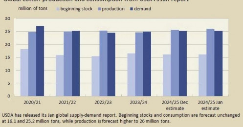 Giá bông sợi (cotton) kì hạn tháng 12/2025 (CTEZ25): Phục hồi yếu, áp lực nguồn cung lớn - nhà đầu tư cần lưu ý gì?
