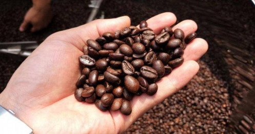 Xuất khẩu cà phê lập kỷ lục