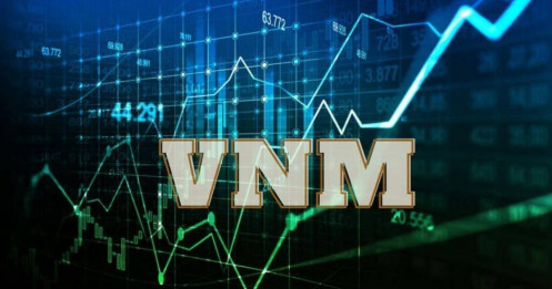 VNM - Điểm sáng từ xuất khẩu