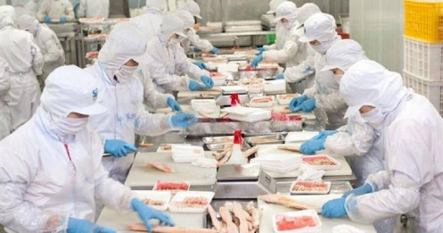 ANV - Tiềm năng tăng trưởng từ thị trường Châu Mỹ và EU