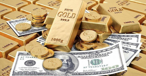 Bài viết HAY của chuyên gia