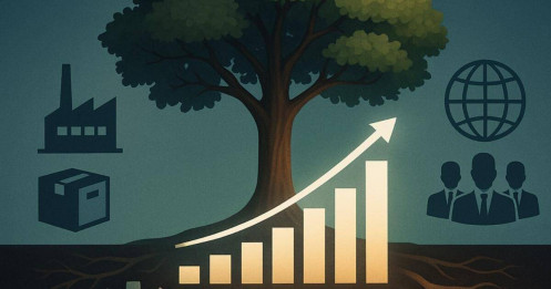 Làm thế nào để biết doanh nghiệp có tăng trưởng bền vững hay không?