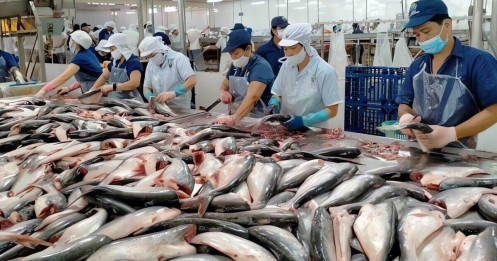 Mỹ siết thuế, thủy sản Việt vẫn có cửa bật lên
