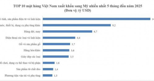 Mặt hàng nào Việt Nam xuất khẩu sang Mỹ nhiều nhất?