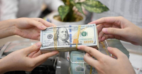 Giá USD đạt đỉnh, chuyên gia dự báo ổn định trong nửa cuối năm
