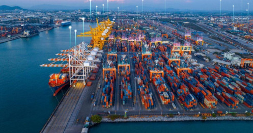 Cổ phiếu cảng biển nổi sóng vì thương vụ nắm quyền công ty non trẻ