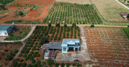 Chuyển đổi đất vườn sang đất ở đóng thuế tiền tỷ, Bộ Tài chính lý giải