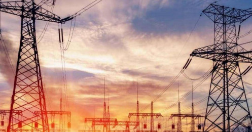 Từ đỉnh cao đến bờ vực: Ông lớn xây lắp điện đối mặt nguy cơ hủy niêm yết