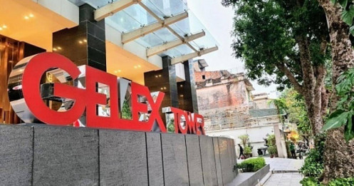 'Nhà Gelex' - Nhóm cổ phiếu triển vọng?