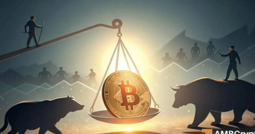 Phe bò Bitcoin có thực sự đang kiểm soát cuộc chơi?